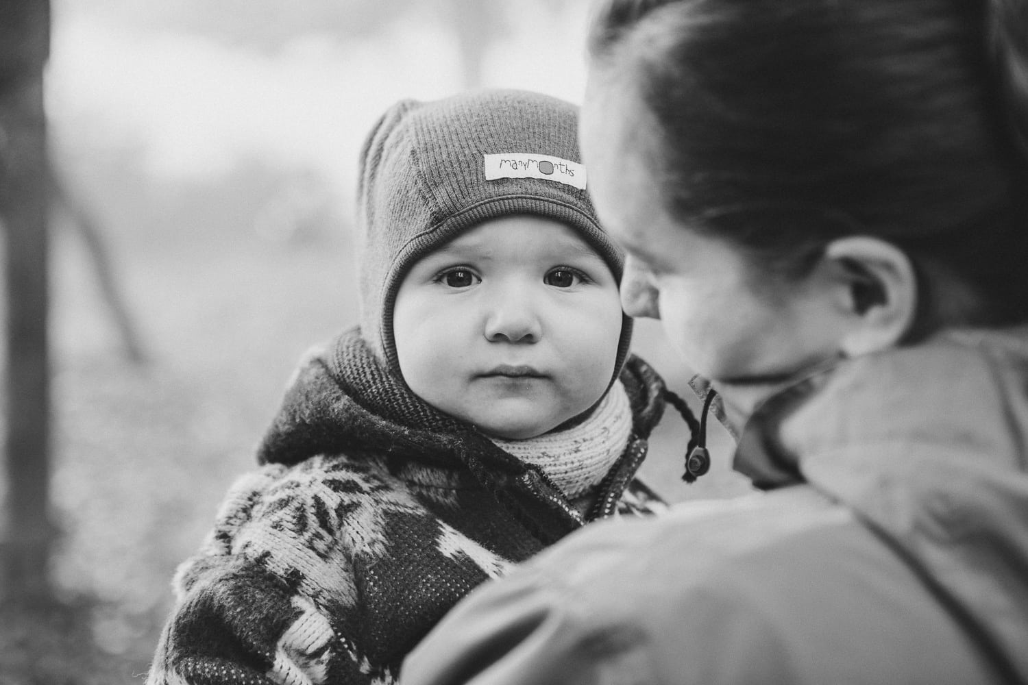 Wald Herbst Familienfotos
