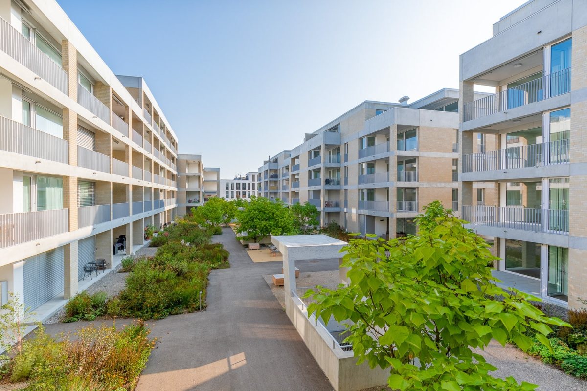 Immobiliendokumentation Baufeld Suhr Hof grün