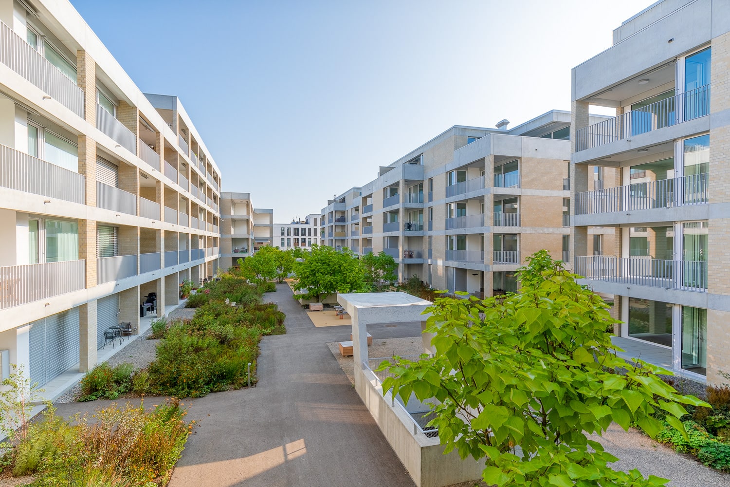 Immobiliendokumentation Baufeld Suhr Hof grün