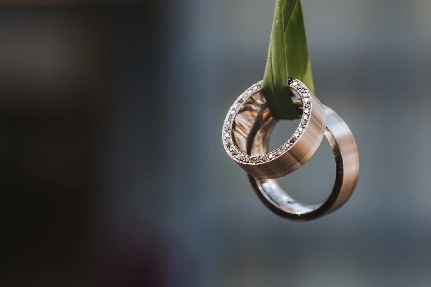 Eheringe Foto Hochzeit Detailfoto Luft Blatt