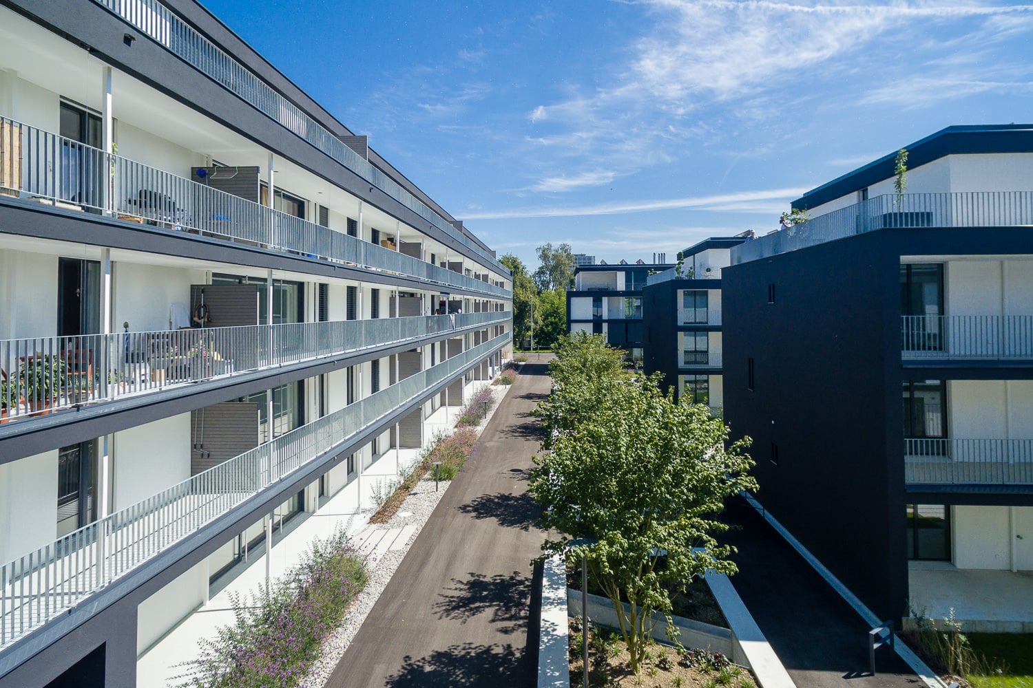 Gautschi Park Reinach Immobilien Drohne Aussenansicht Wohnung