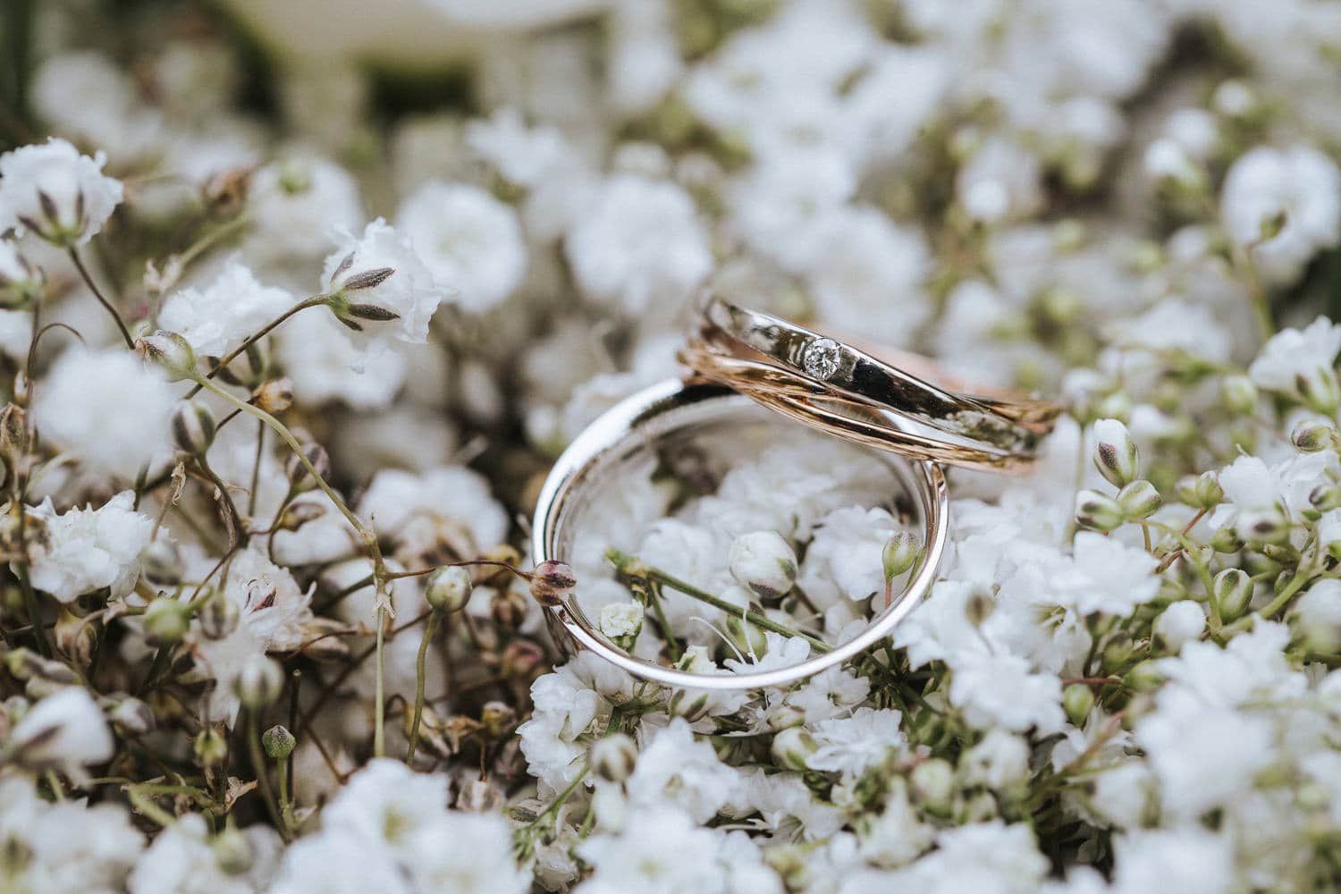 Trauung Hochzeit Lenzburg Hochzeitsringe im Schleierkraut