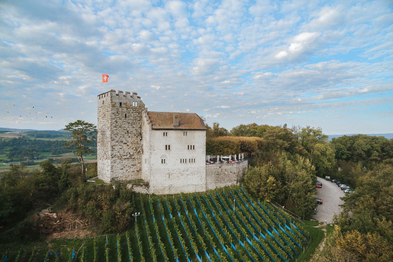 Schloss Habsburg Luftaufnahme Drohne