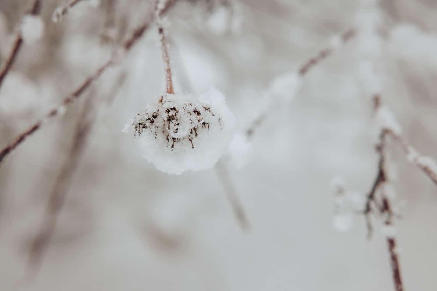 Winter Lovesession Kölliken