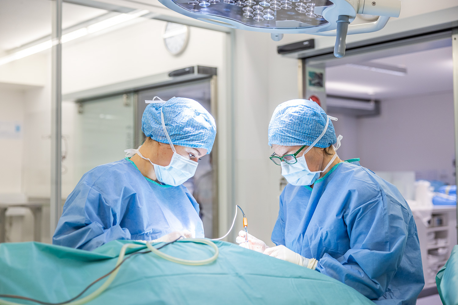 Tierklinik Aarau West Operation Veterinärmedizin
