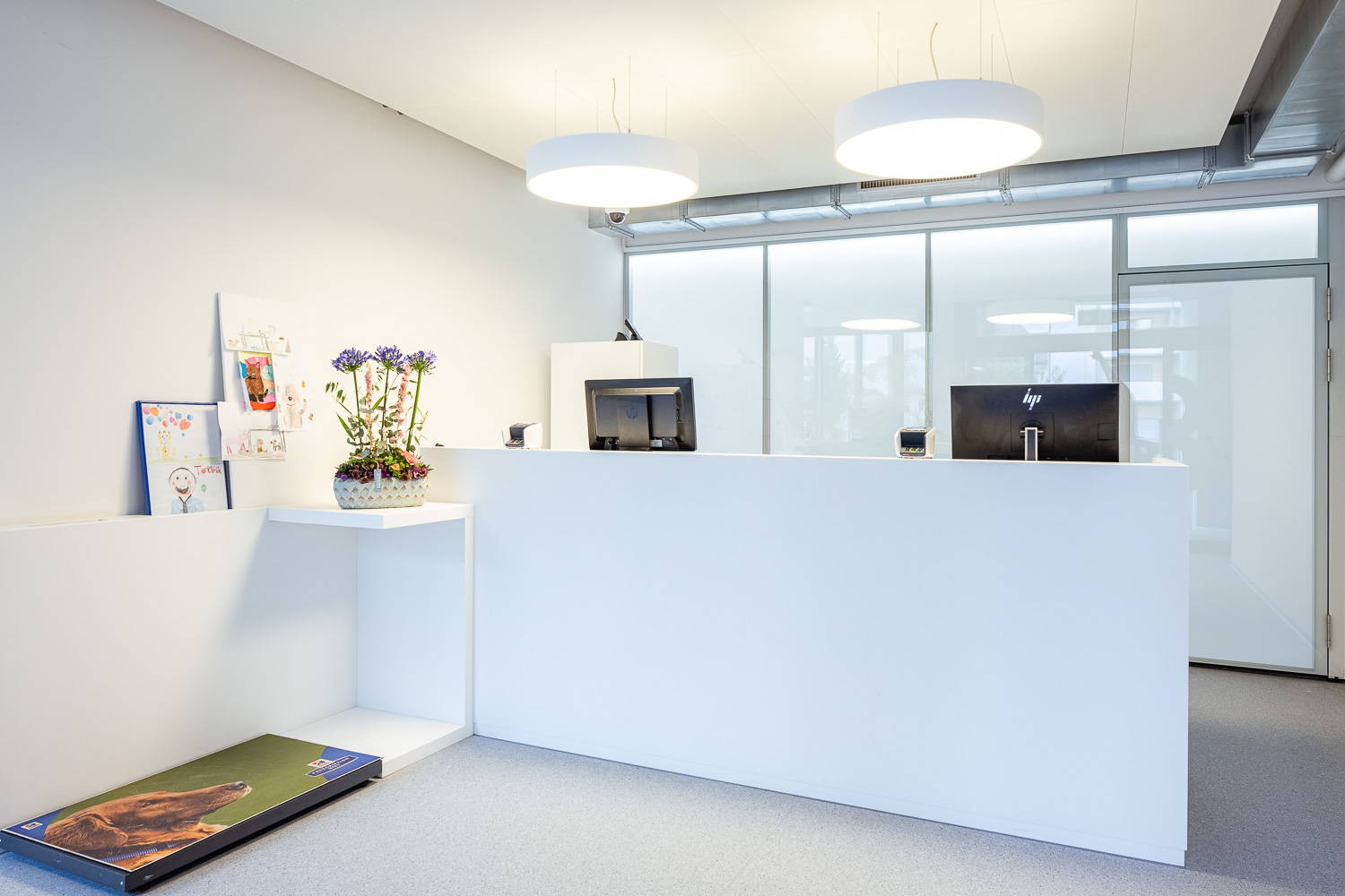 Tierklinik Aarau West Tierklinik Wartezimmer Empfang