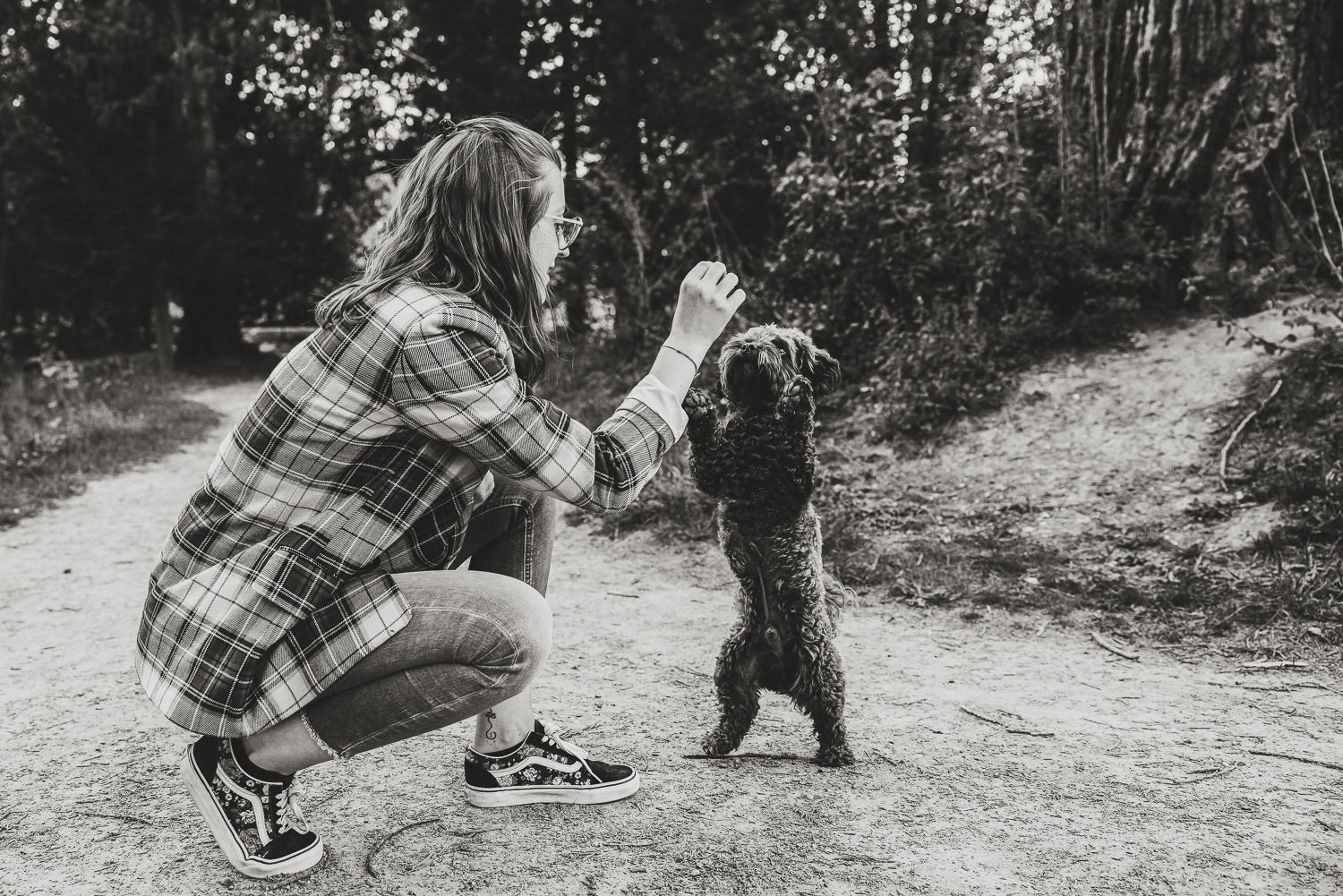 Paarfotos Hund Ballypark Aarau